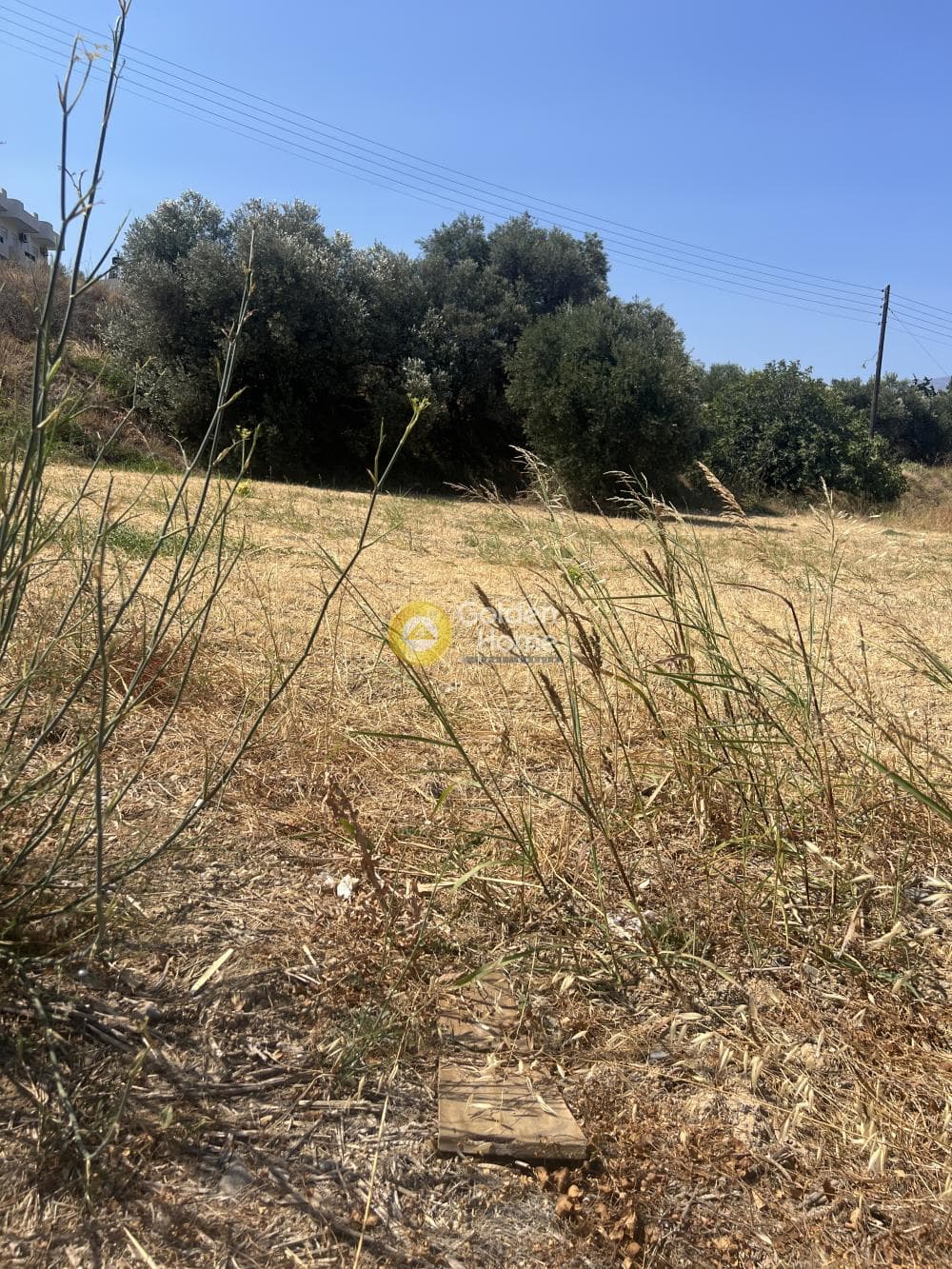 Building Plot in Center, Gazi
