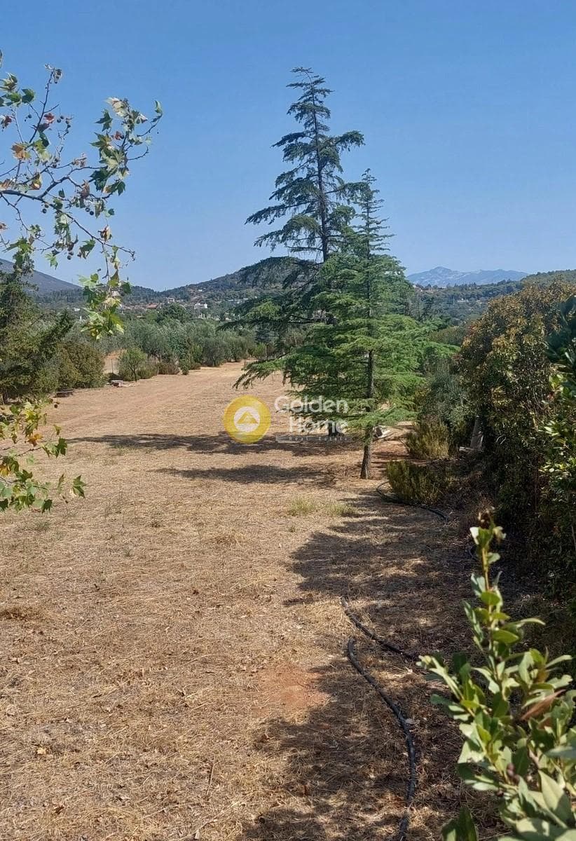 Αγροτεμάχιο στην Κέντρο, Κορωπί — Φωτογραφία 2 από 3