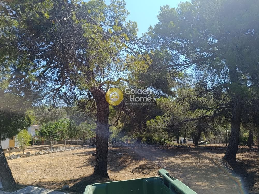Οικόπεδο στην Ανθούσα, Ανθούσα — Φωτογραφία 1 από 3