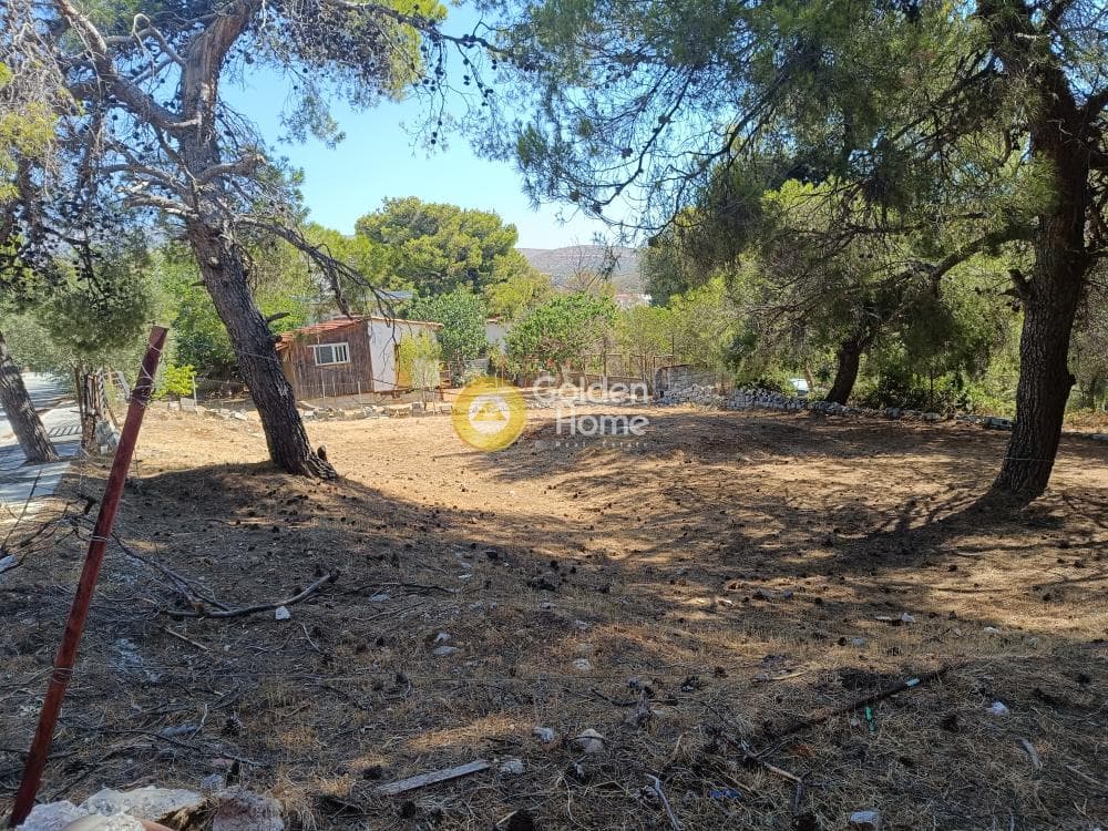 Οικόπεδο στην Ανθούσα, Ανθούσα — Φωτογραφία 2 από 3