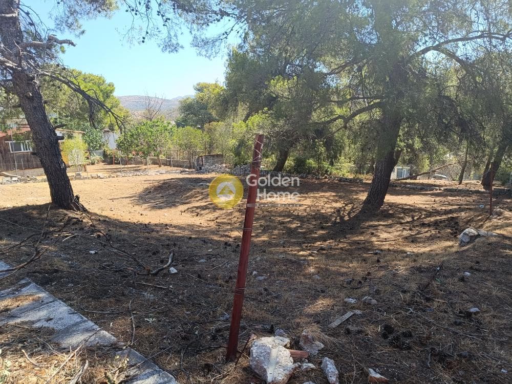 Οικόπεδο στην Ανθούσα, Ανθούσα — Φωτογραφία 3 από 3