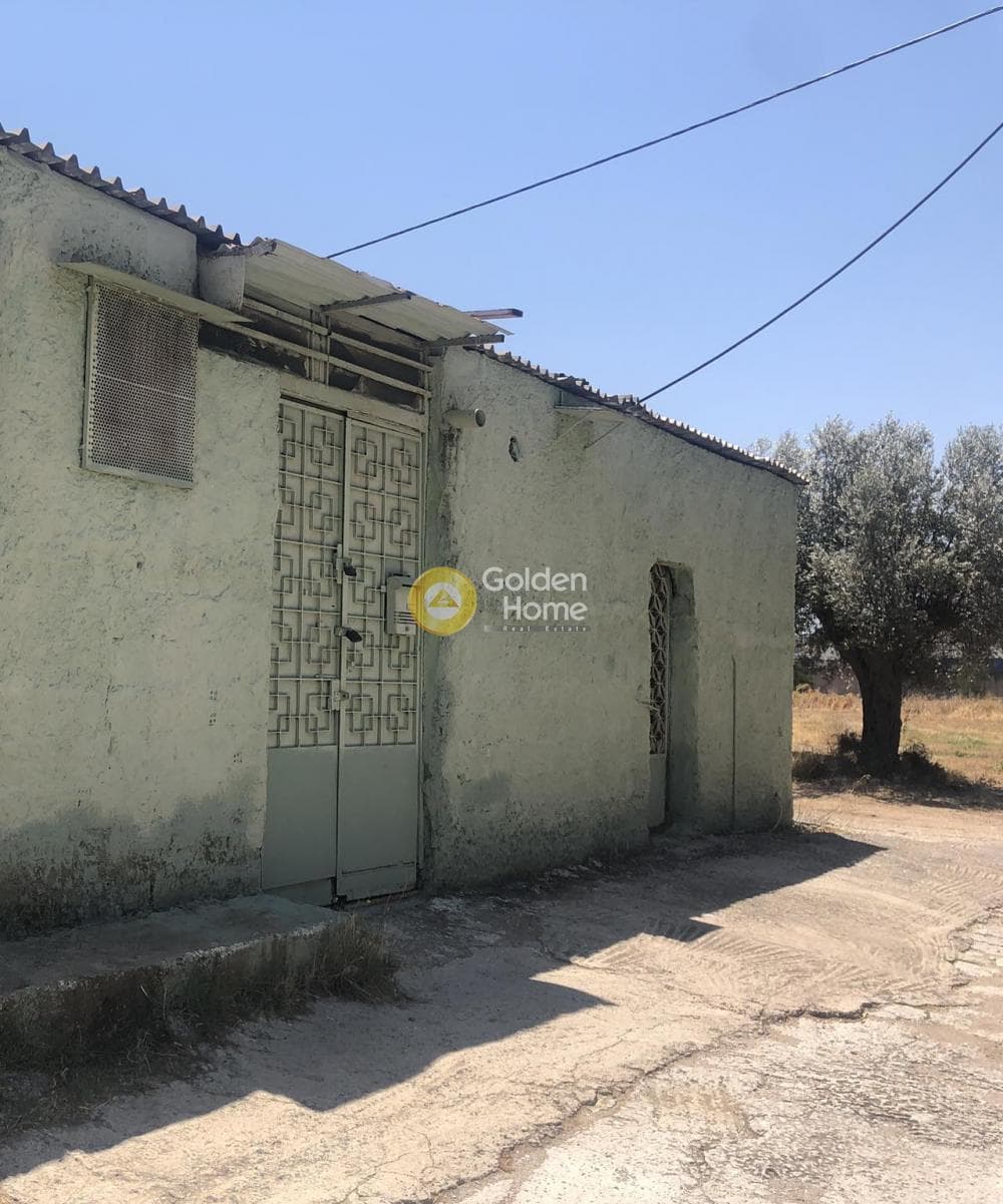 Βιομηχανικός Χώρος στην Πανόραμα, Λυκόβρυση — Φωτογραφία 2 από 7
