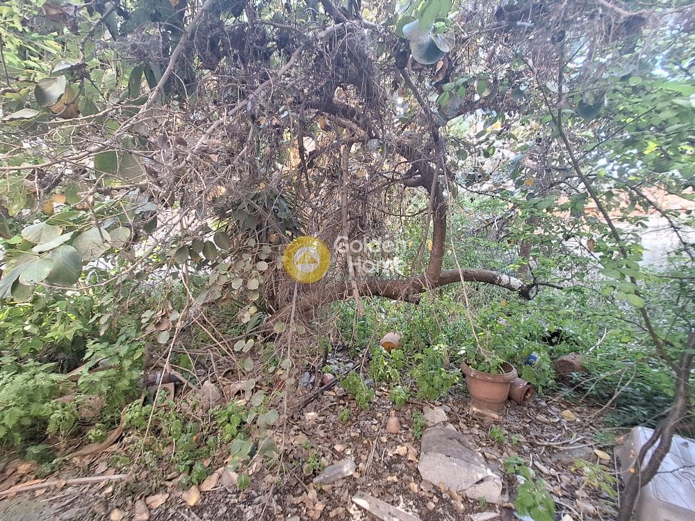 Οικόπεδο στην Κέντρο, Πετρούπολη