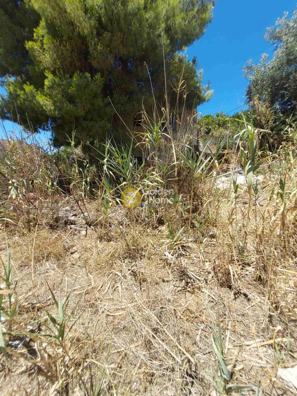 Οικόπεδο στην Βορινέζα, Αρτέμιδα (Λούτσα) — Φωτογραφία 2 από 3
