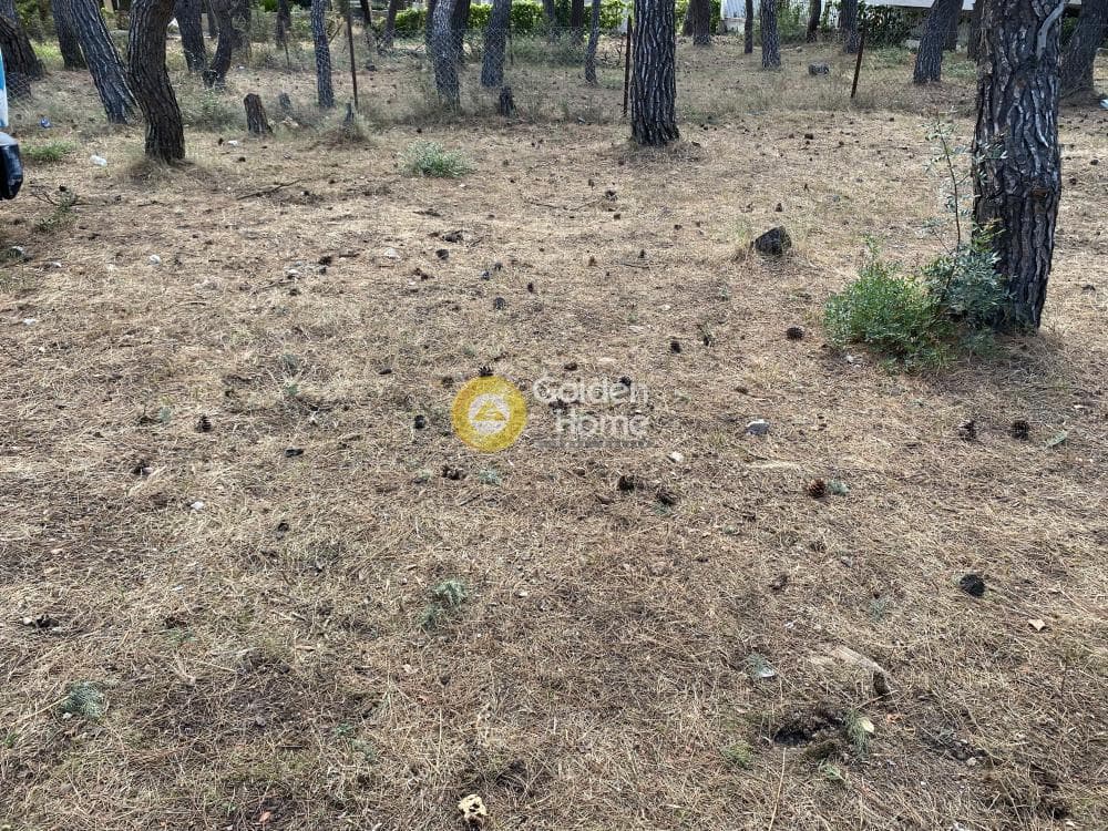 Building Plot in Fasideri, Anoixi — Photo 2 of 5