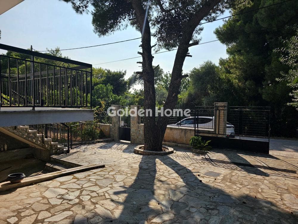 Building Plot in Center, Penteli — Photo 3 of 7