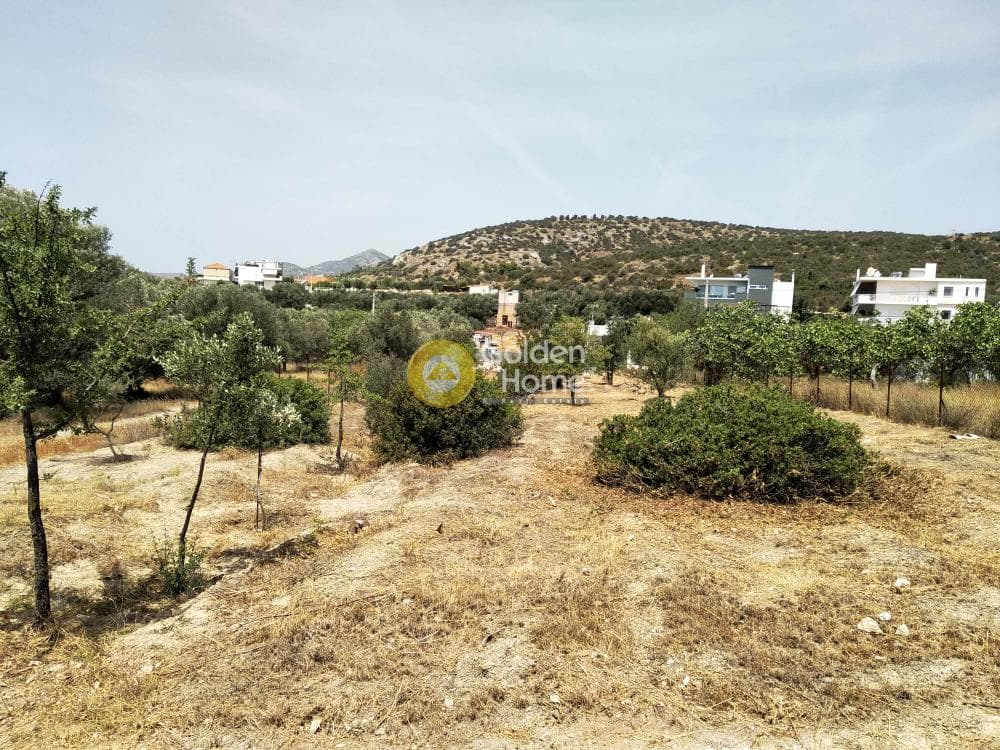 Αγροτεμάχιο στην Λαμπρικά, Κορωπί — Φωτογραφία 1 από 4