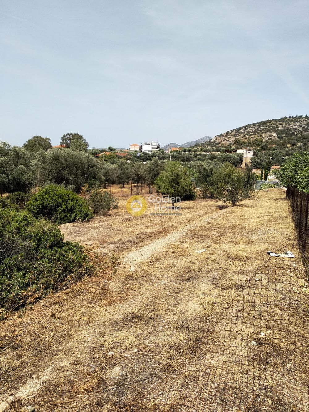 Αγροτεμάχιο στην Λαμπρικά, Κορωπί — Φωτογραφία 2 από 4