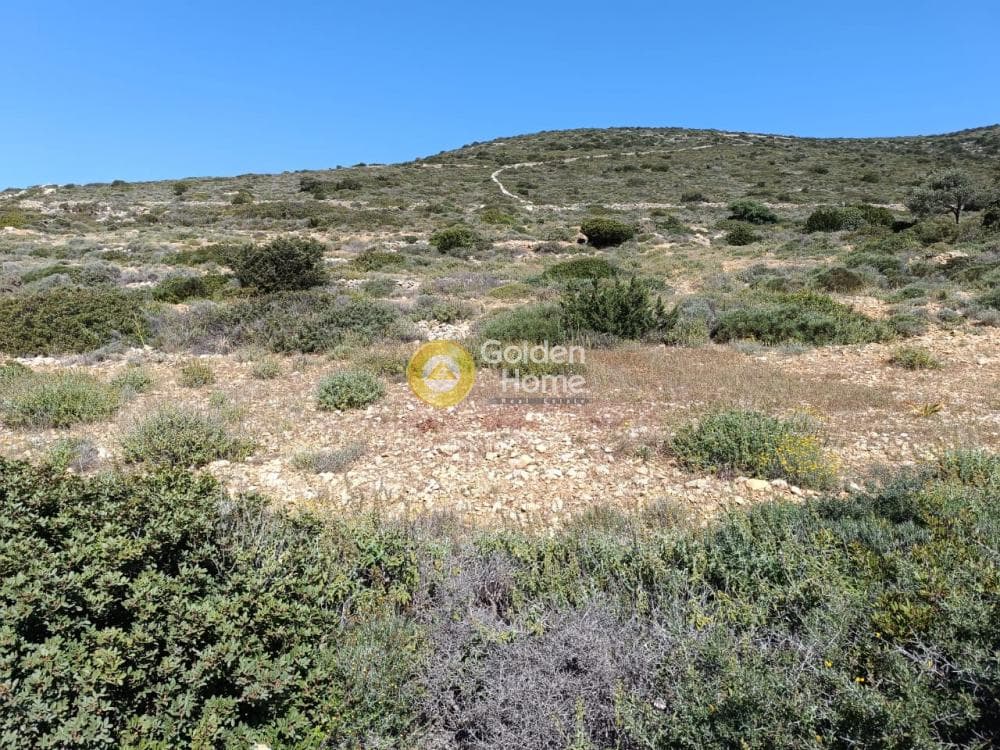 Αγροτεμάχιο στην Ανερατζά, Πάρος — Φωτογραφία 7 από 8