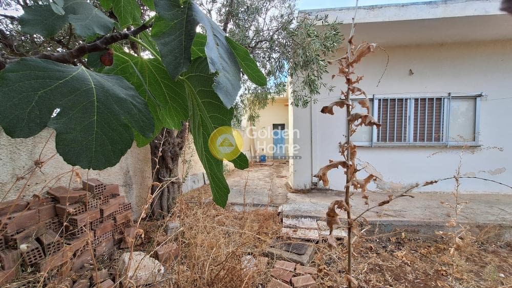 Οικόπεδο στην Άγιος Γεώργιος, Άνω Λιόσια — Φωτογραφία 4 από 9