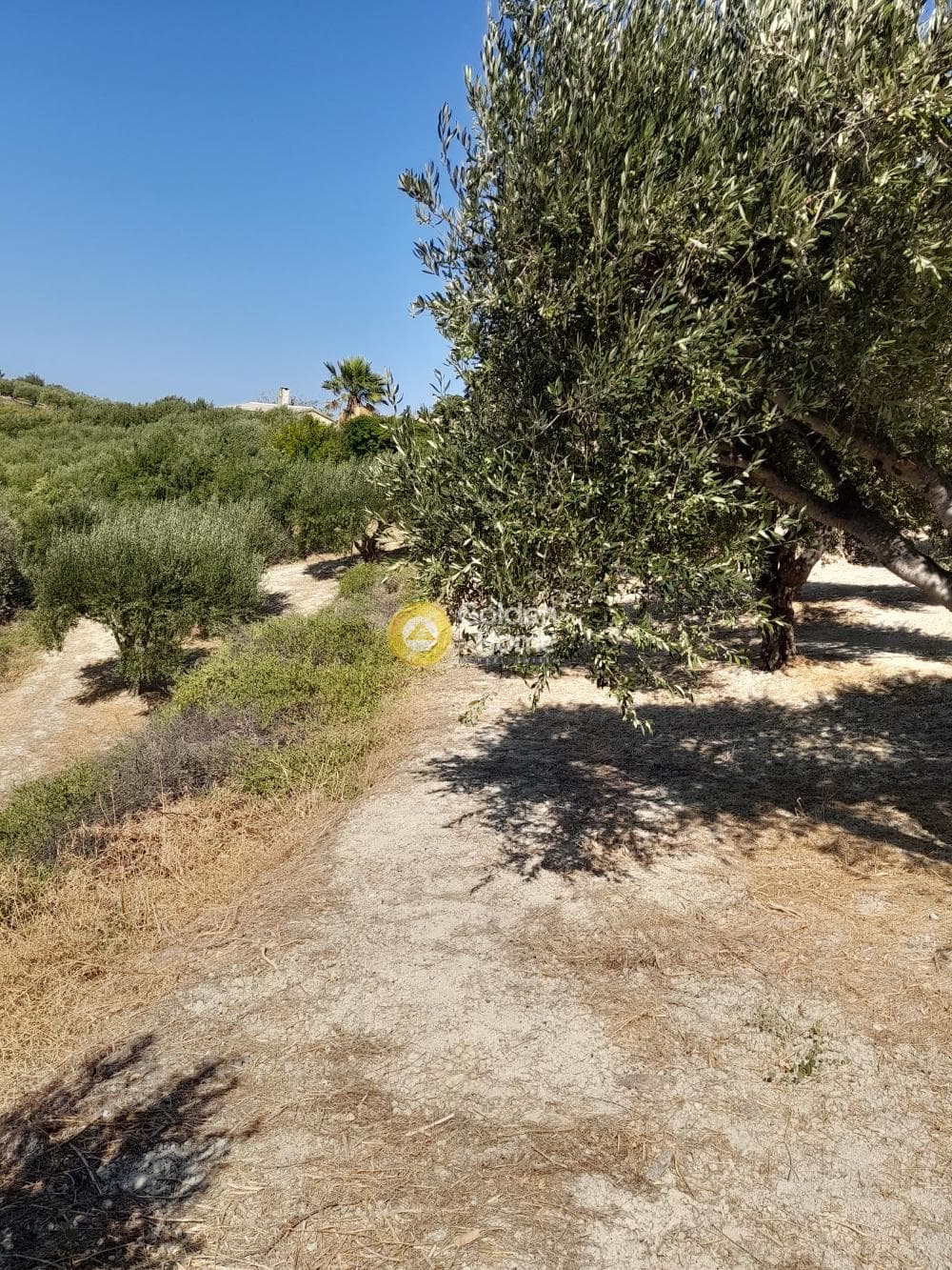 Building Plot in Chrisostomos, Heraclion Cretes — Photo 4 of 21