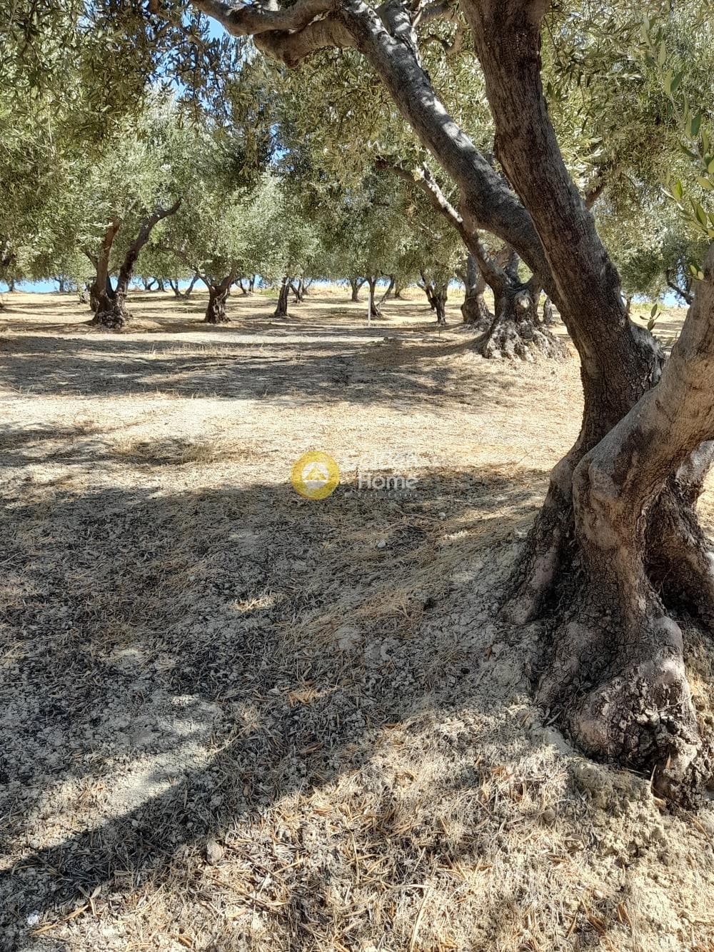 Building Plot in Chrisostomos, Heraclion Cretes — Photo 13 of 21