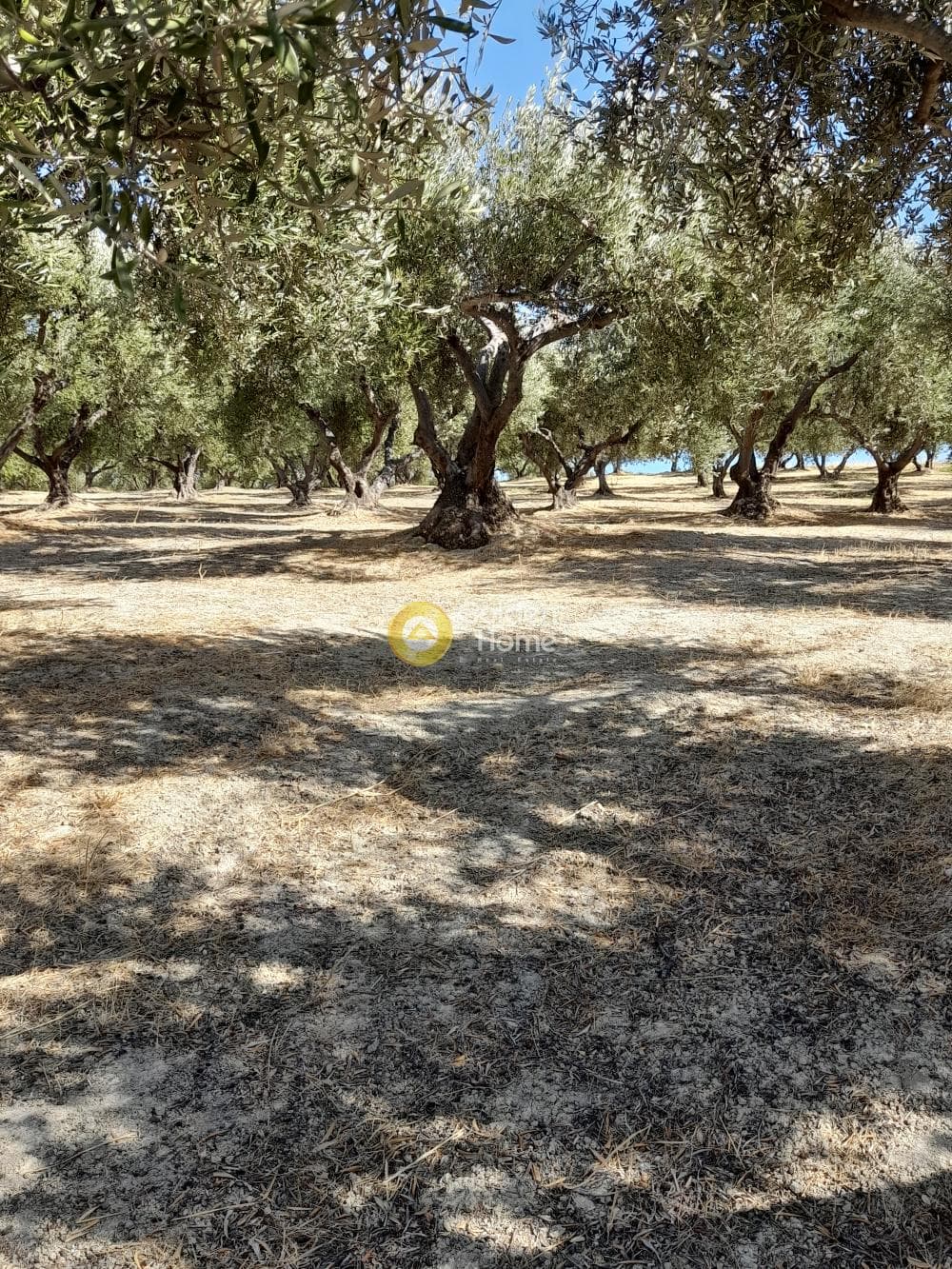 Building Plot in Chrisostomos, Heraclion Cretes — Photo 18 of 21