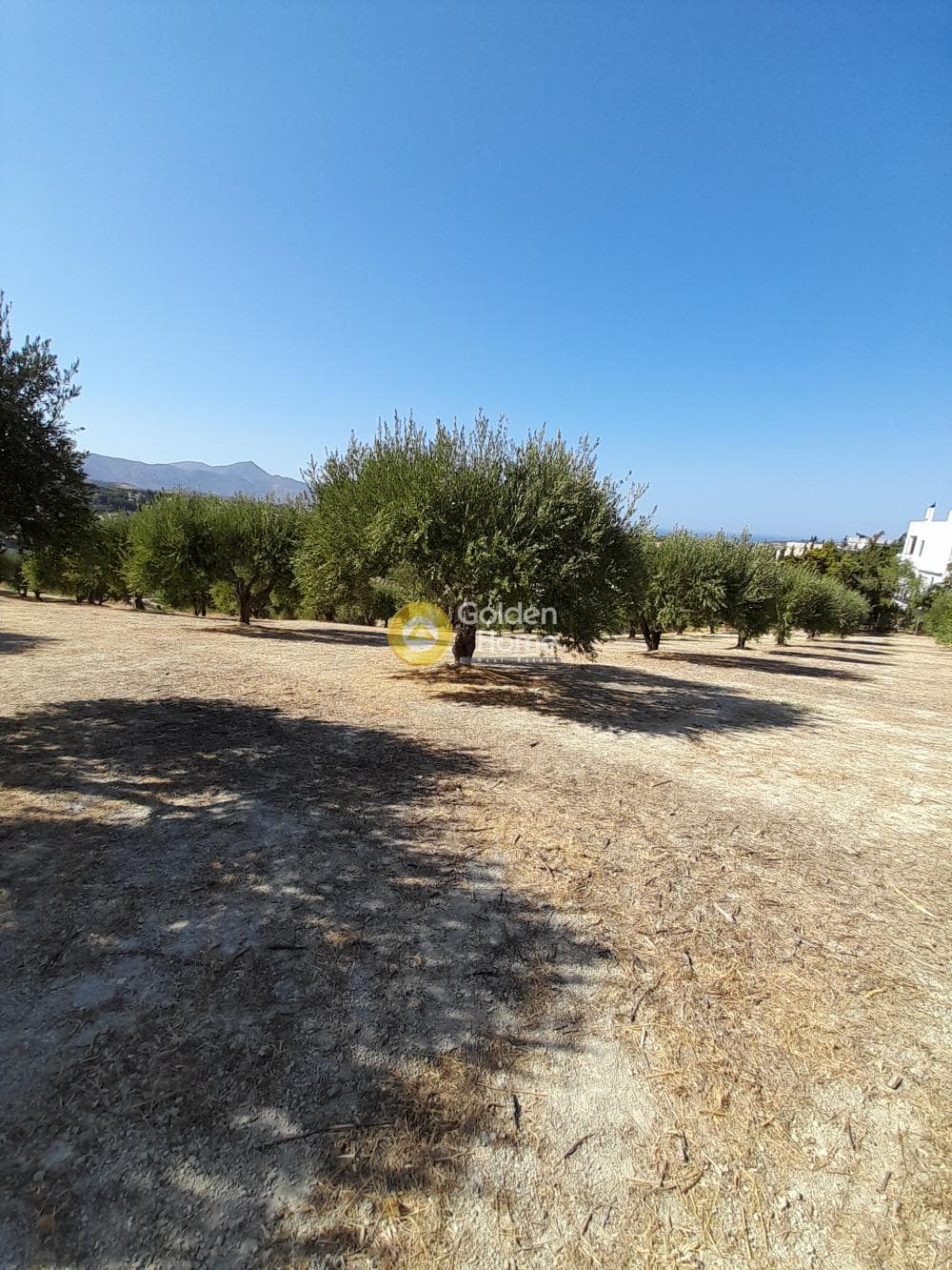 Building Plot in Chrisostomos, Heraclion Cretes — Photo 17 of 21