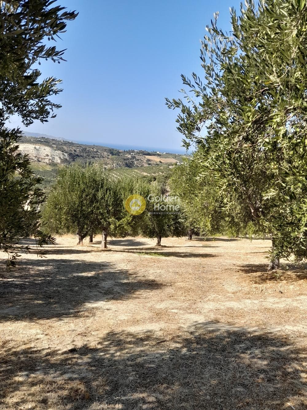 Building Plot in Chrisostomos, Heraclion Cretes — Photo 19 of 21