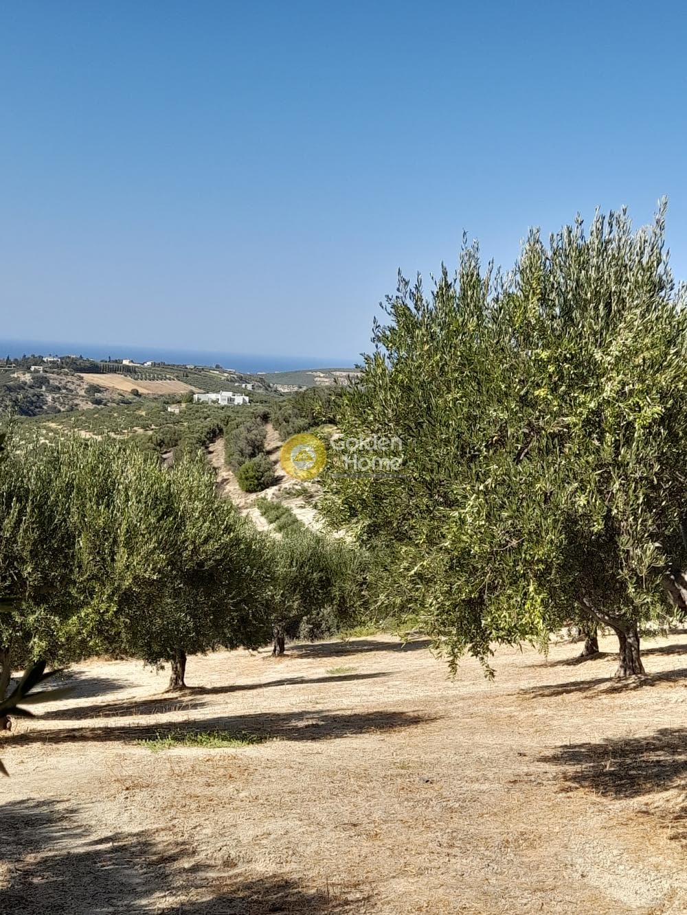 Building Plot in Chrisostomos, Heraclion Cretes — Photo 20 of 21