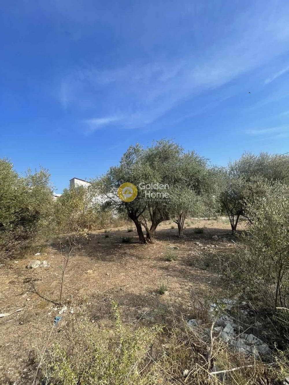 Building Plot in Megala Sxoinia A, Acharnes — Photo 2 of 10