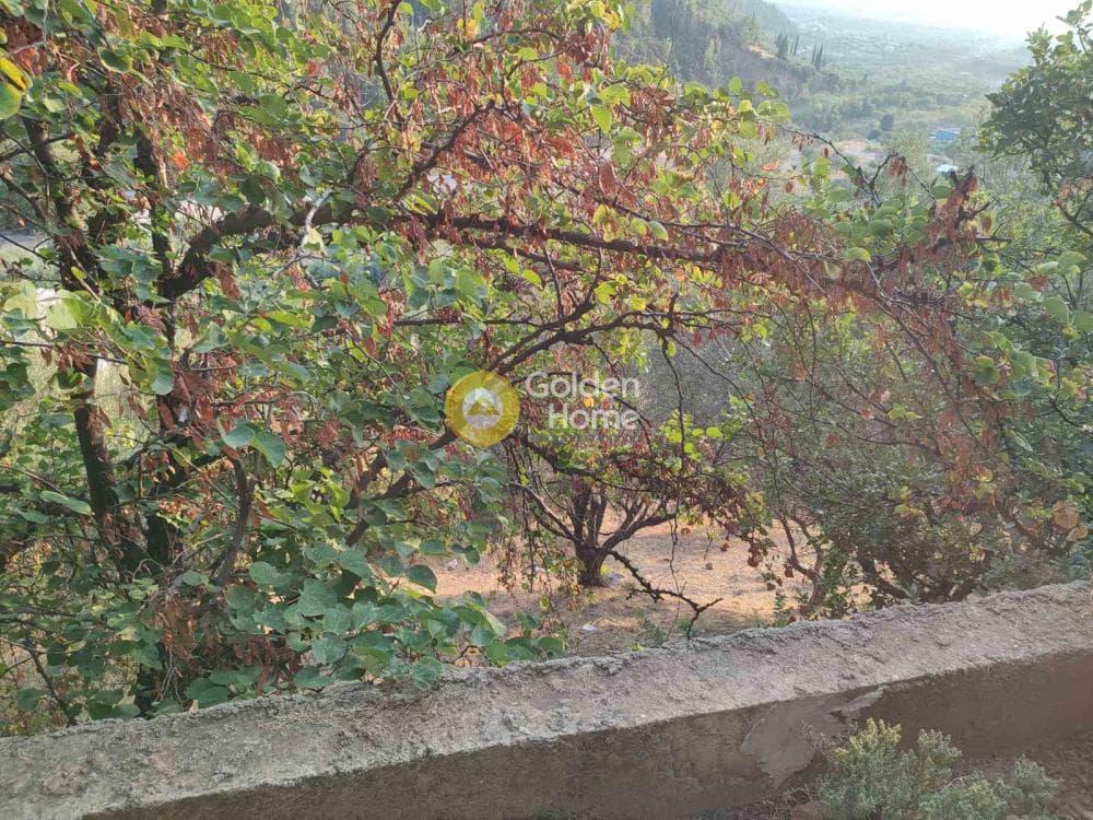Μονοκατοικία στην Καρυά, Μεσσατίδα — Φωτογραφία 19 από 21