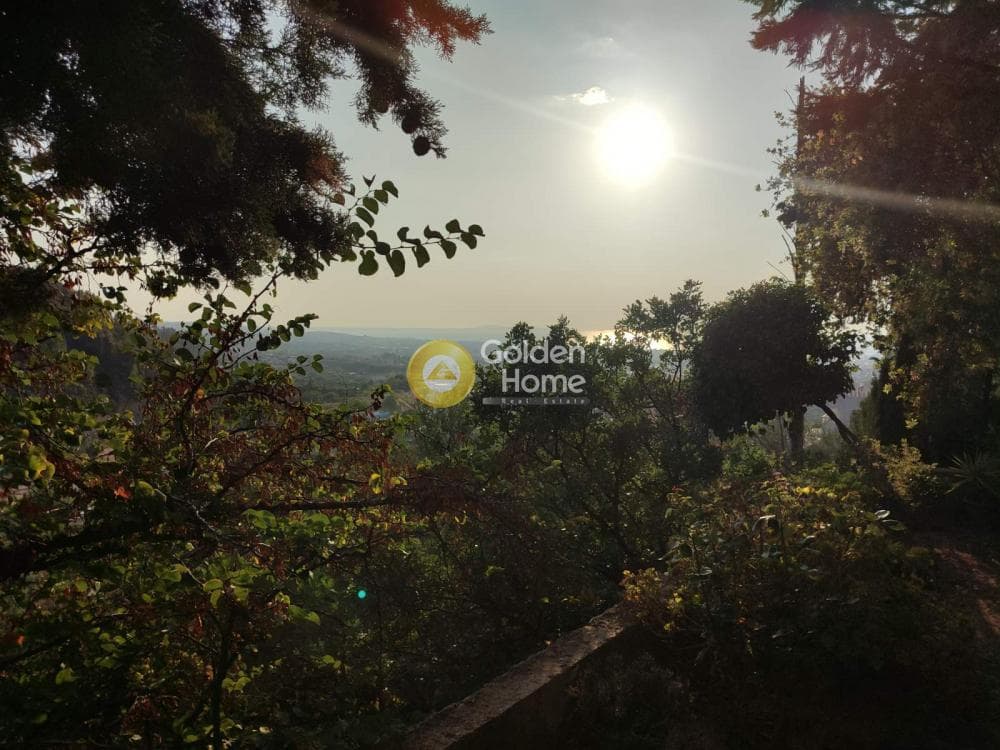 Μονοκατοικία στην Καρυά, Μεσσατίδα — Φωτογραφία 1 από 32