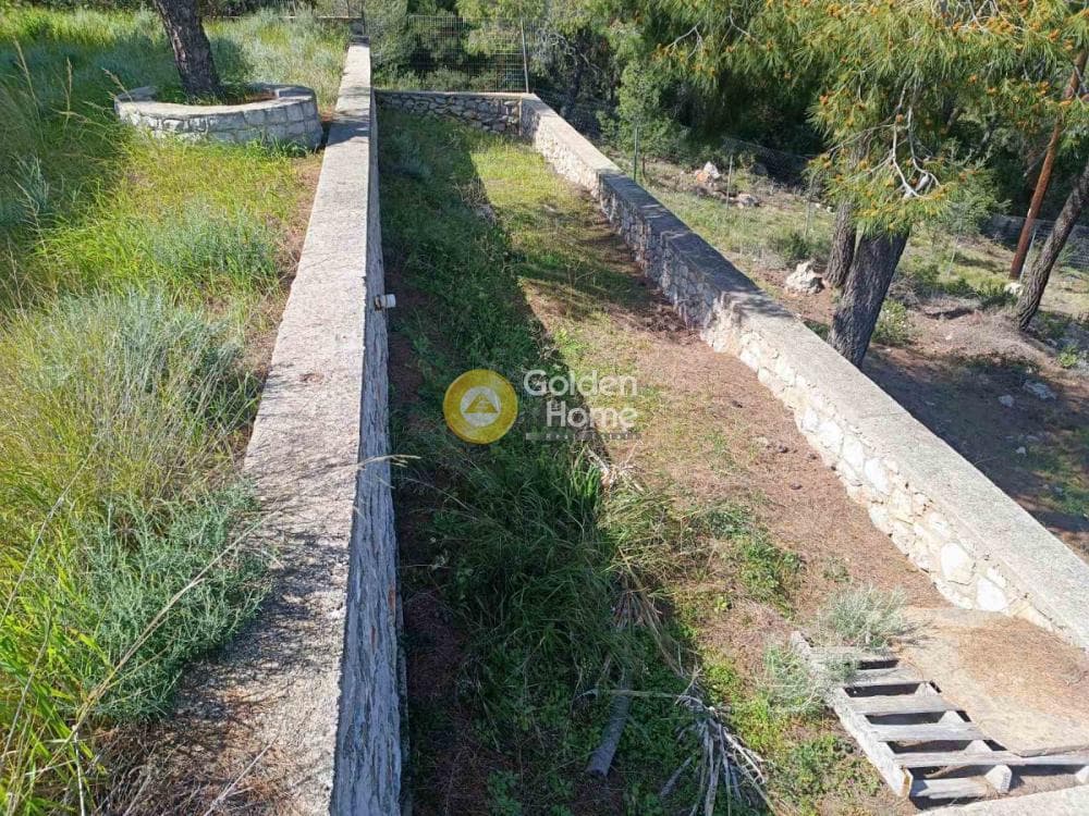 House in Pefkali, Soligeia — Photo 26 of 29