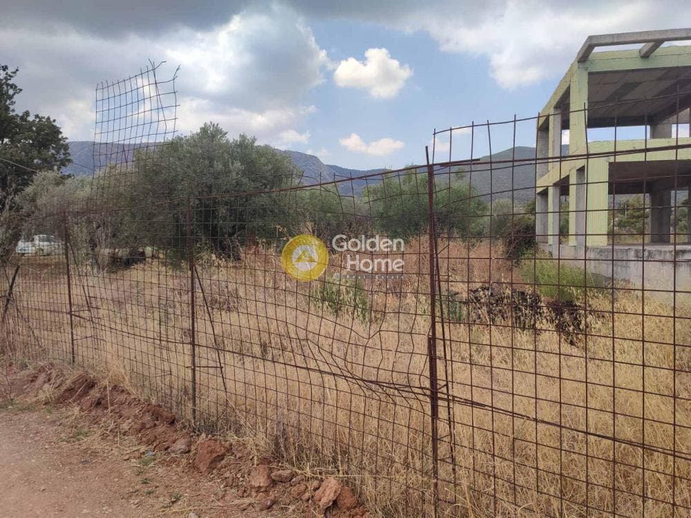 Οικόπεδο στην Αγία Μαρίνα, Παιανία — Φωτογραφία 2 από 10