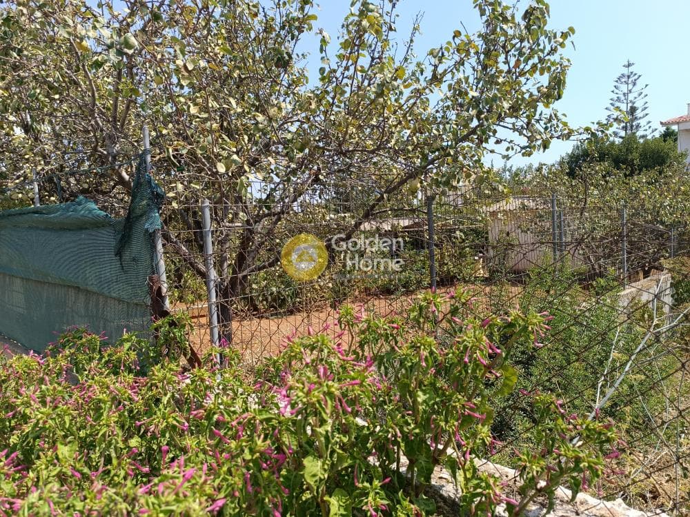 Οικόπεδο στην Βορινέζα, Αρτέμιδα (Λούτσα) — Φωτογραφία 1 από 12
