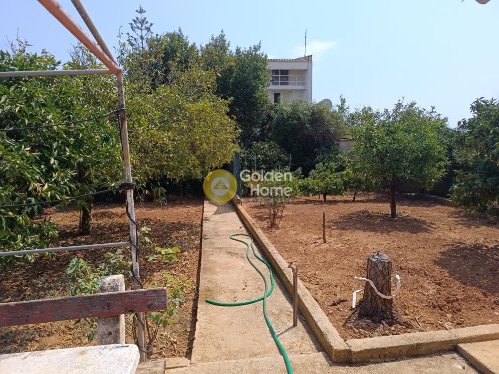Οικόπεδο στην Βορινέζα, Αρτέμιδα (Λούτσα) — Φωτογραφία 3 από 12