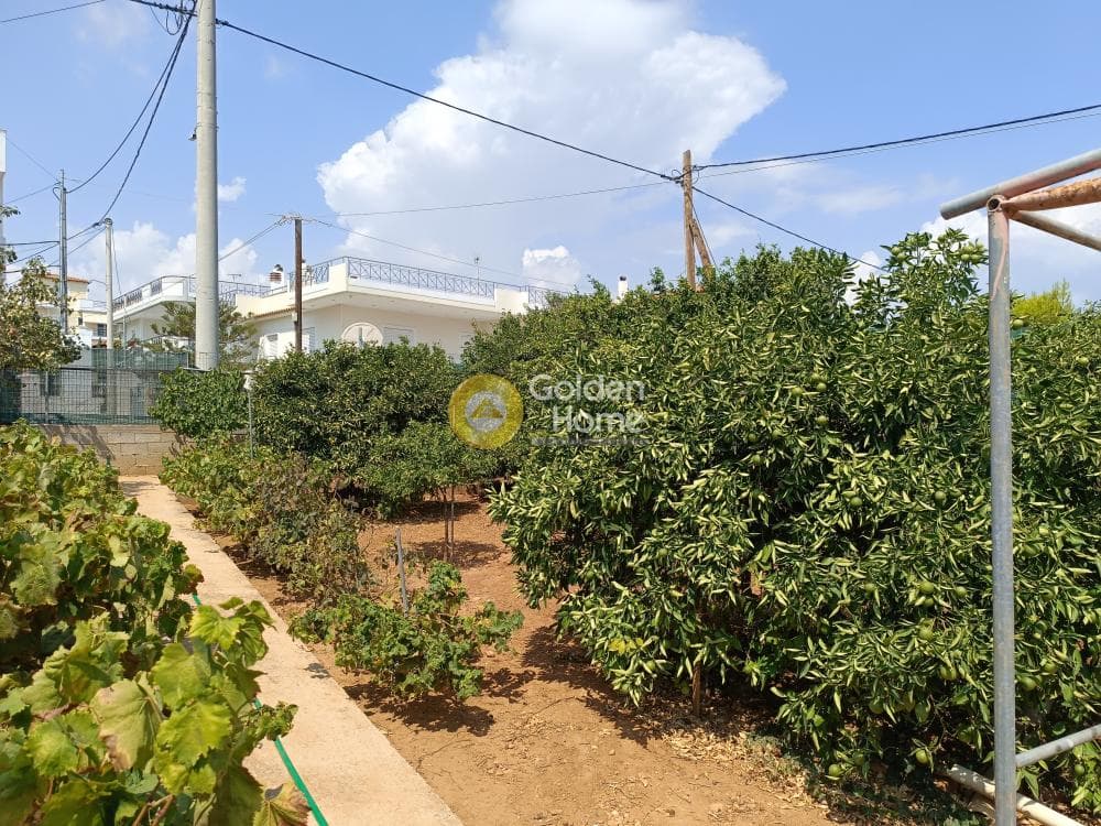 Οικόπεδο στην Βορινέζα, Αρτέμιδα (Λούτσα) — Φωτογραφία 11 από 12
