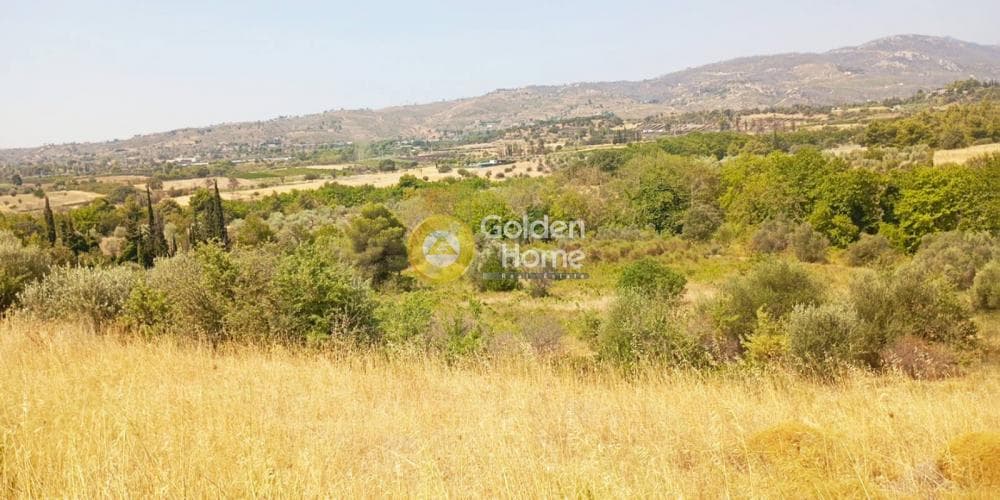 Building Plot in Vromopousi, Salamina