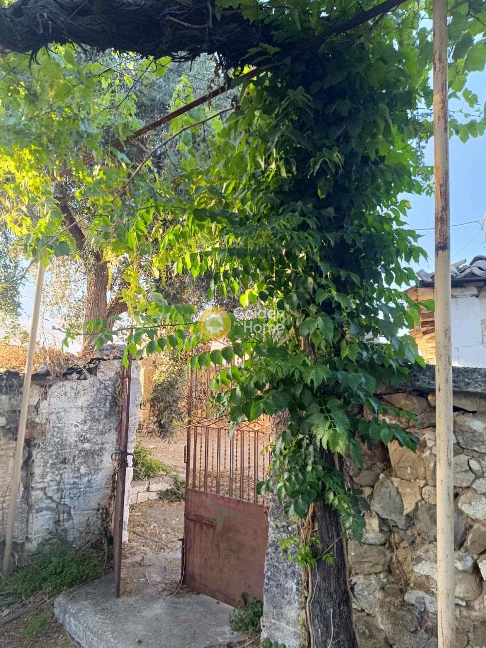 Μονοκατοικία στην Μερτίδι, Ερίνεο — Φωτογραφία 4 από 16