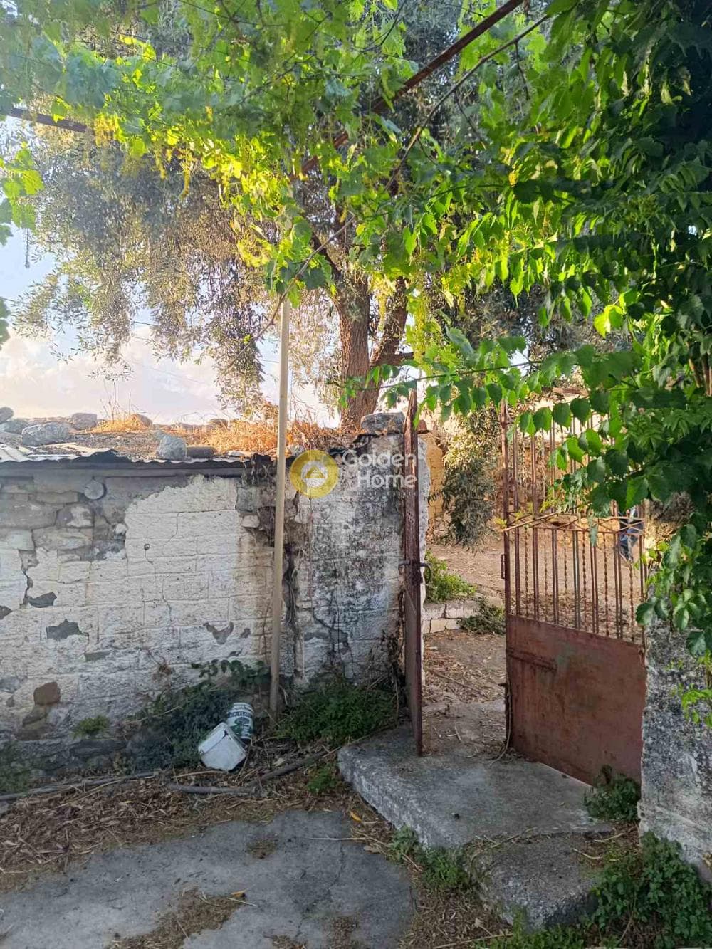 Μονοκατοικία στην Μερτίδι, Ερίνεο — Φωτογραφία 10 από 16
