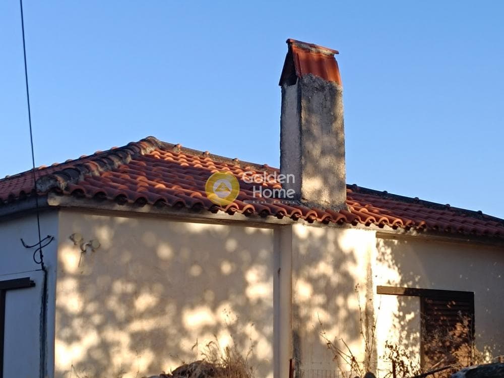 Μονοκατοικία στην Μερτίδι, Ερίνεο — Φωτογραφία 1 από 16