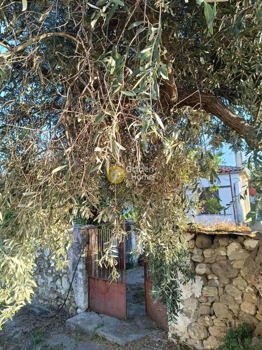 Μονοκατοικία στην Μερτίδι, Ερίνεο — Φωτογραφία 14 από 16