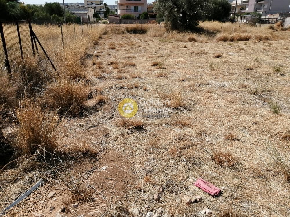 Building Plot in Center, Koropi — Photo 5 of 8