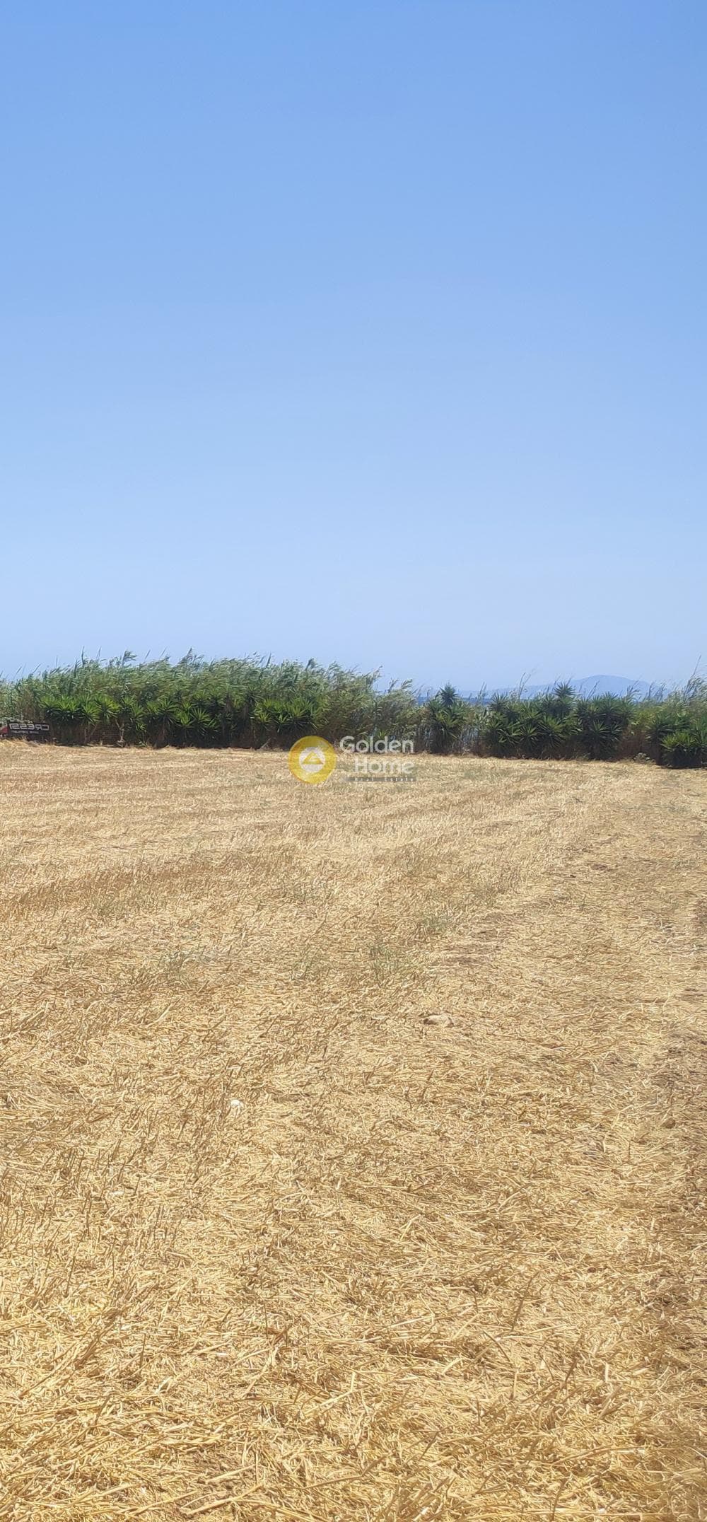 Αγροτεμάχιο στην Χρυσή Ακτή, Πάρος — Φωτογραφία 2 από 2