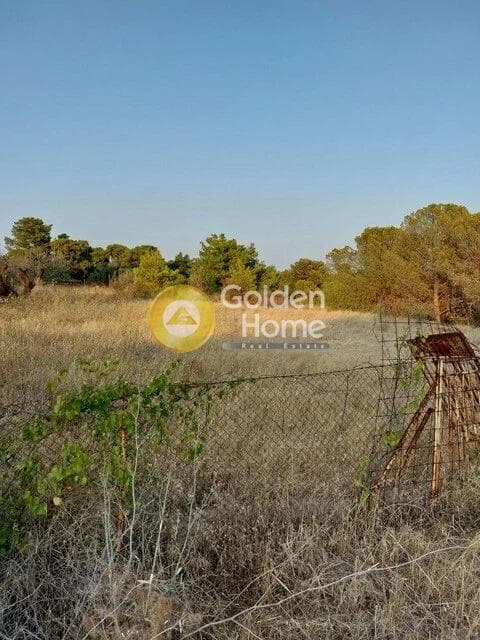 Parcel in Oikismos Vgena, Rafina — Photo 2 of 4