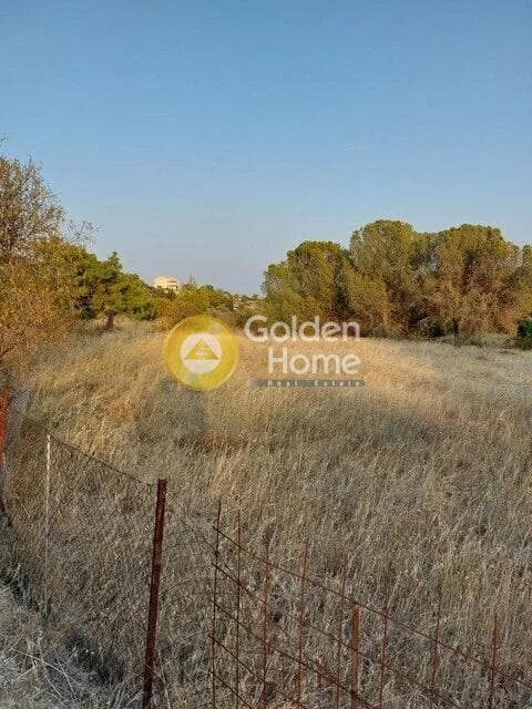 Parcel in Oikismos Vgena, Rafina — Photo 3 of 4