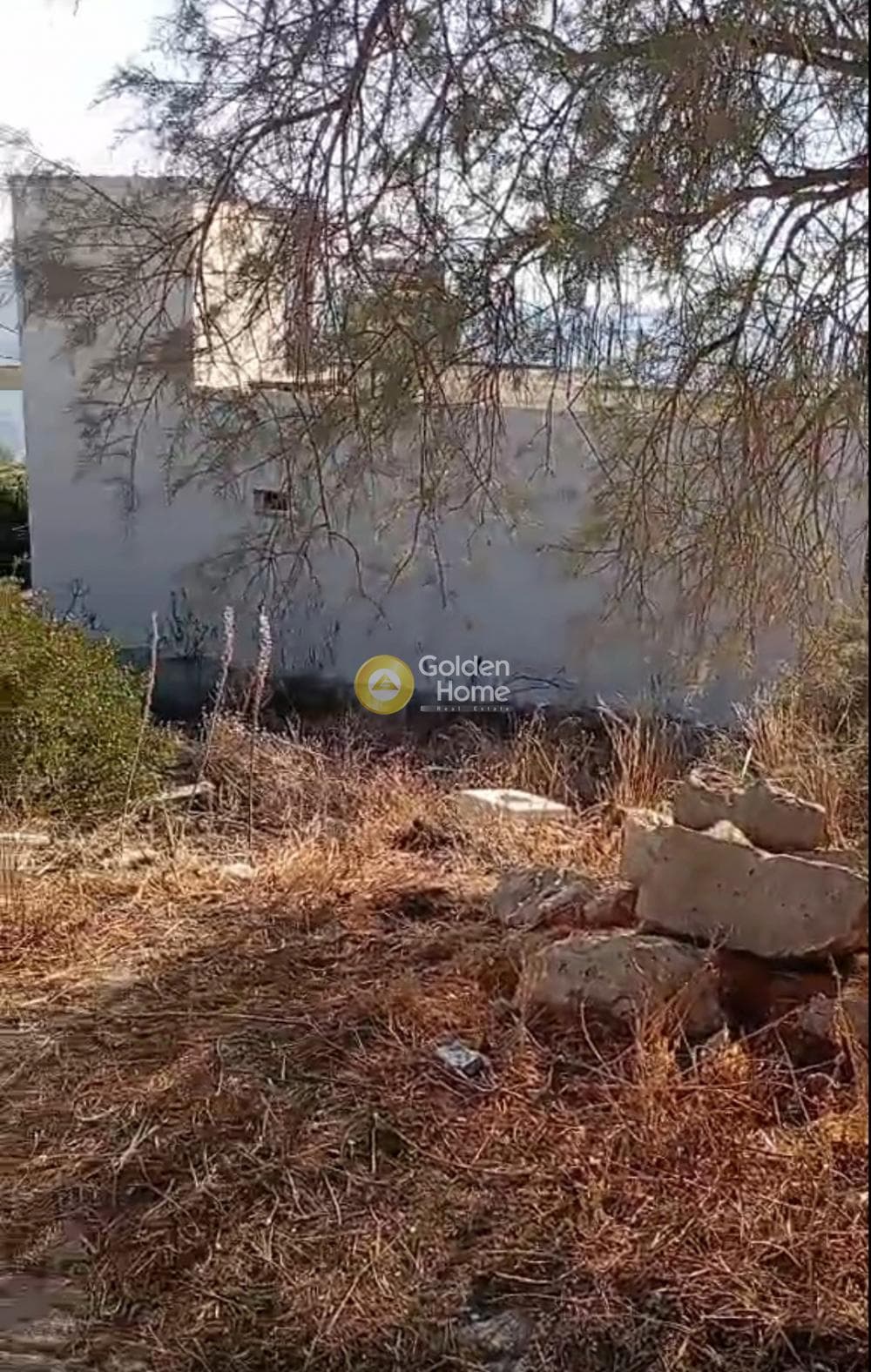 Building Plot in Giala, Salamina — Photo 3 of 7