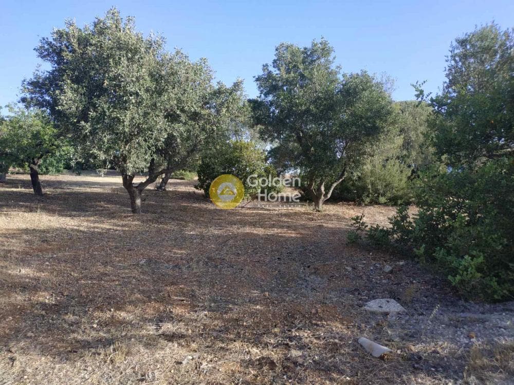 Μονοκατοικία στην Νέα Τραπεζούντα, Κόρινθος — Φωτογραφία 8 από 11