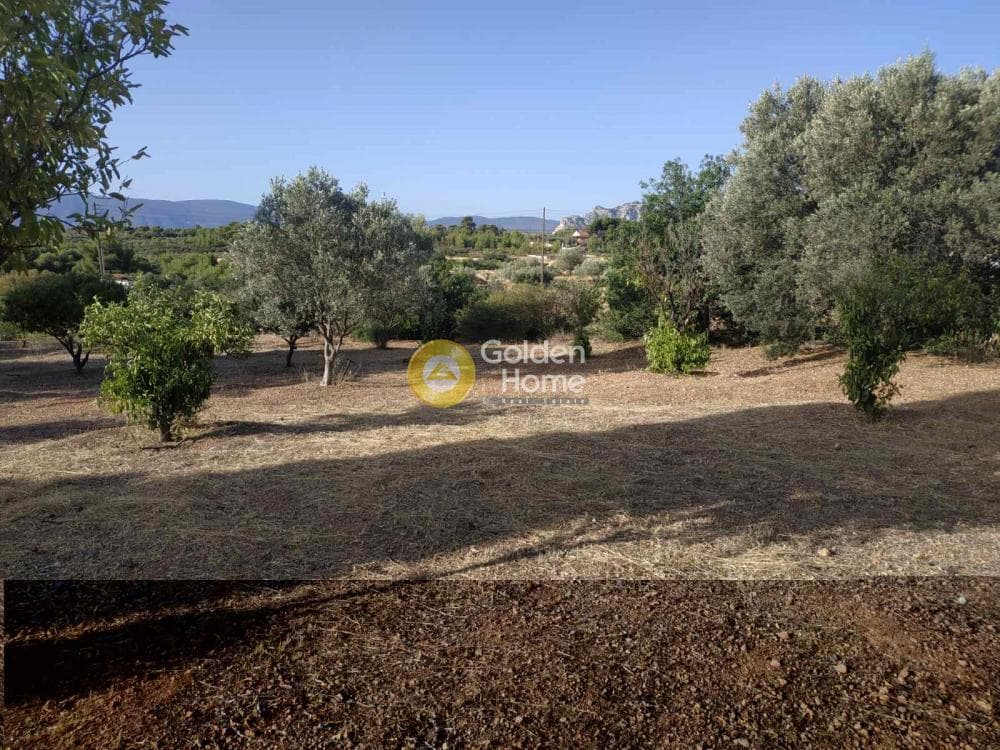 Μονοκατοικία στην Νέα Τραπεζούντα, Κόρινθος — Φωτογραφία 6 από 11