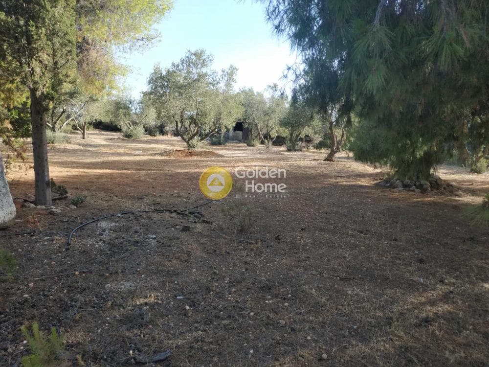 Μονοκατοικία στην Νέα Τραπεζούντα, Κόρινθος — Φωτογραφία 5 από 11