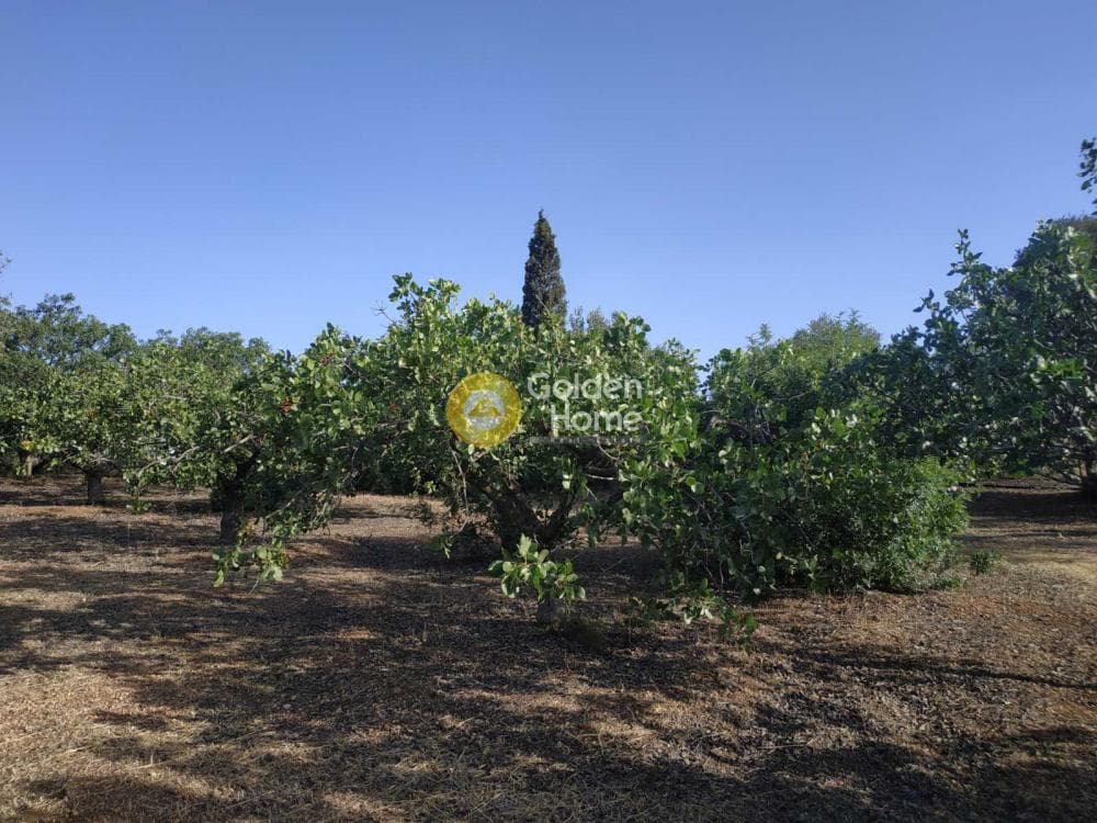 Μονοκατοικία στην Νέα Τραπεζούντα, Κόρινθος — Φωτογραφία 9 από 11
