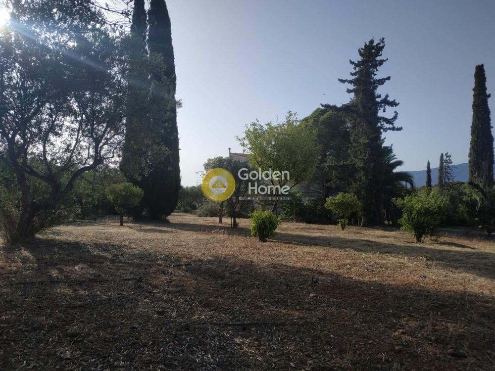 Μονοκατοικία στην Νέα Τραπεζούντα, Κόρινθος — Φωτογραφία 10 από 11