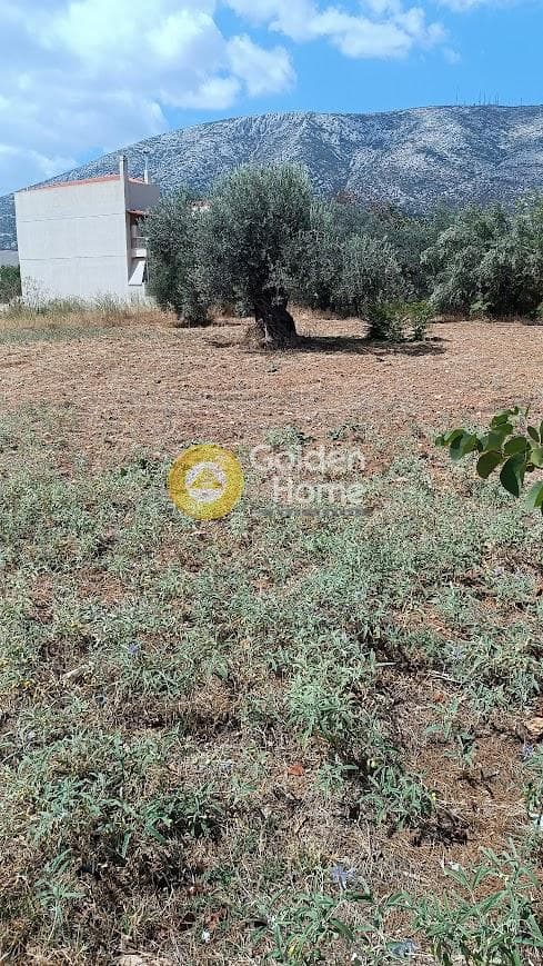 Οικόπεδο στην Αγία Τριάδα, Παιανία — Φωτογραφία 4 από 6