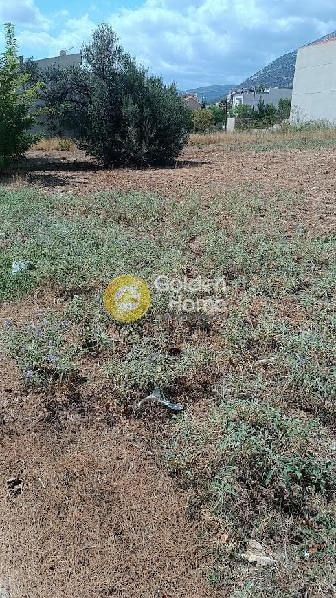 Οικόπεδο στην Αγία Τριάδα, Παιανία — Φωτογραφία 3 από 6