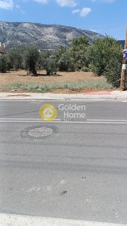 Οικόπεδο στην Αγία Τριάδα, Παιανία — Φωτογραφία 5 από 6