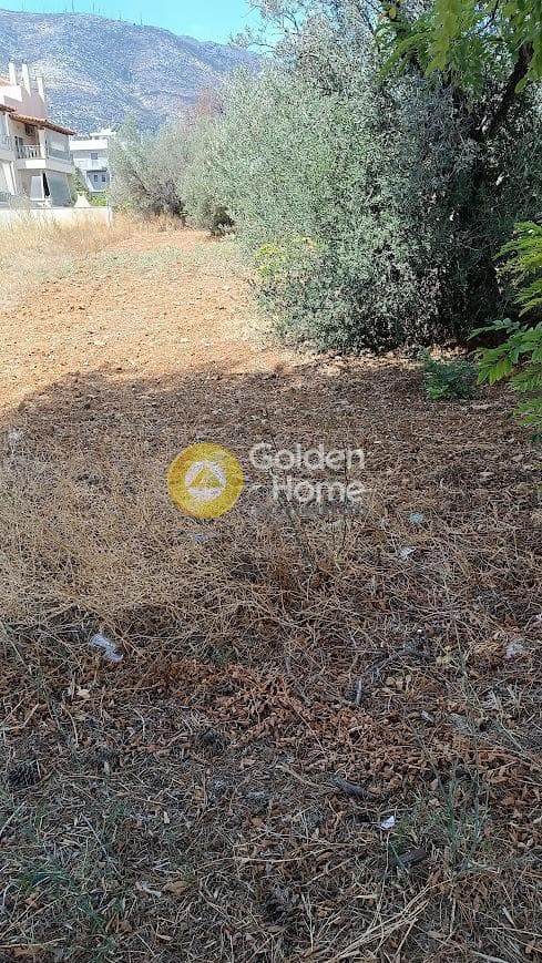 Οικόπεδο στην Αγία Τριάδα, Παιανία — Φωτογραφία 6 από 6