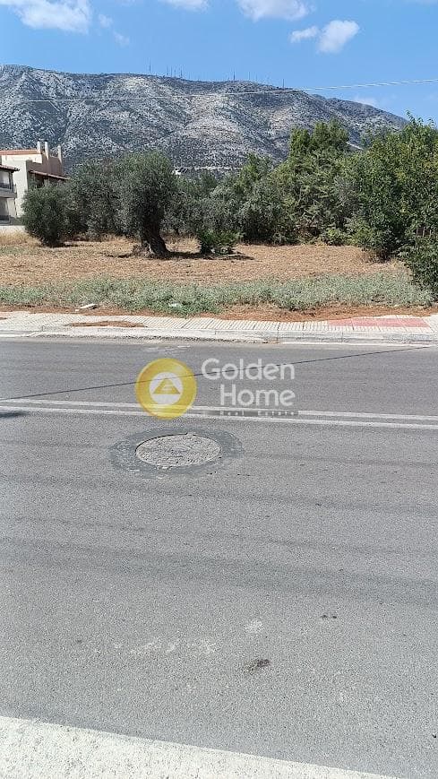 Οικόπεδο στην Αγία Τριάδα, Παιανία — Φωτογραφία 2 από 6