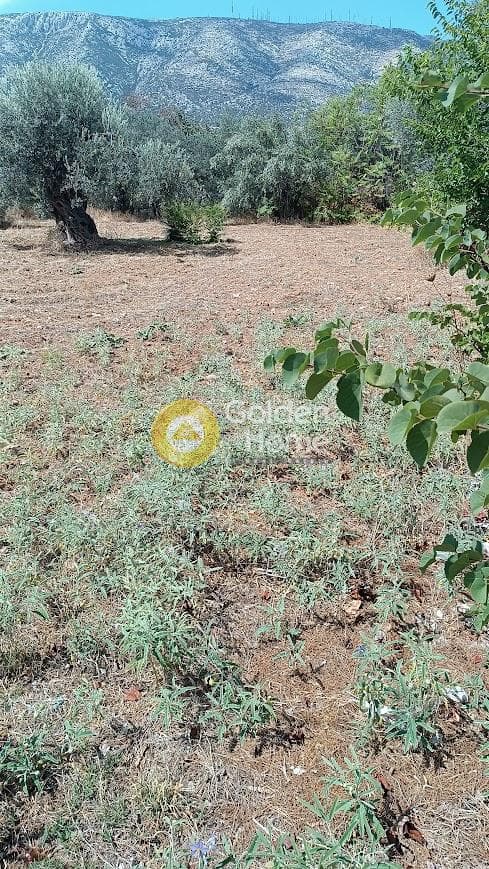 Οικόπεδο στην Αγία Τριάδα, Παιανία — Φωτογραφία 1 από 6