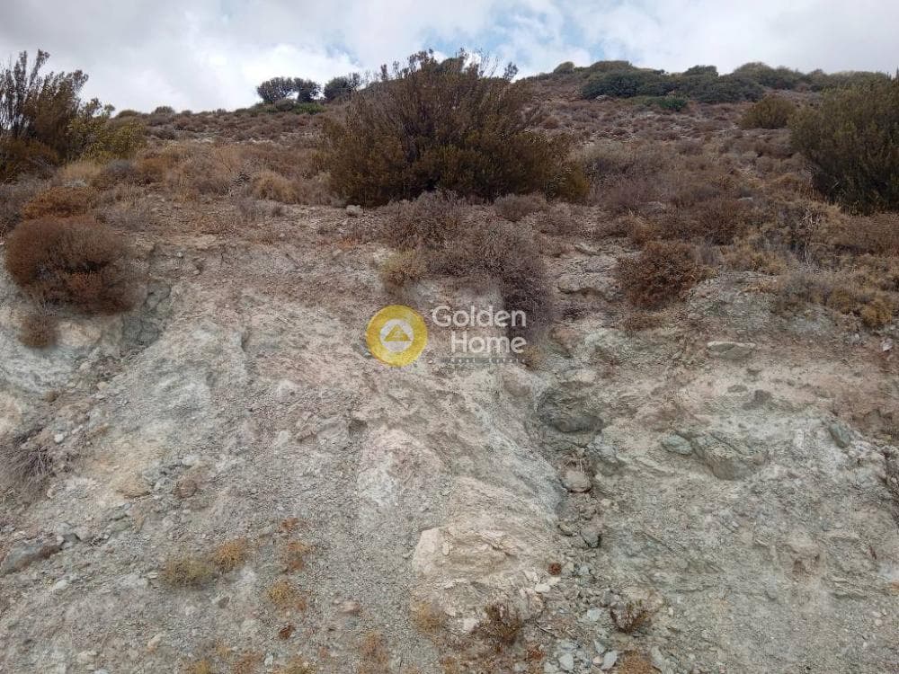 Αγροτεμάχιο στην Πόρτο Εννιά, Κερατέα — Φωτογραφία 4 από 8